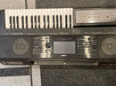 PSR-SX900 + accordeon bassen (Occ.)