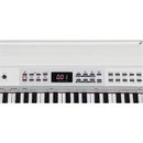 SP4000/WH