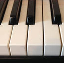 Nord Stage Compact 73 revision C (occ)