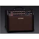 Acoustic Singer Live