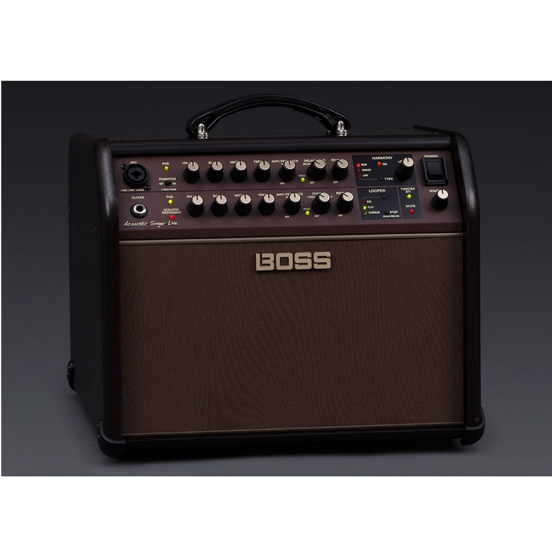 Acoustic Singer Live