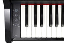GP-3 PE