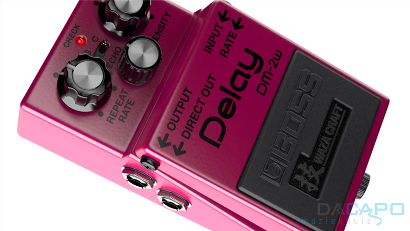DM-2W