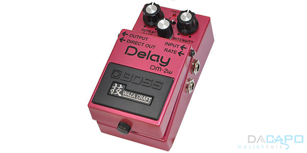 DM-2W