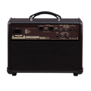 Acoustic Singer Live