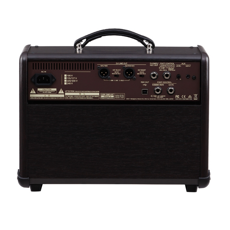 Acoustic Singer Live