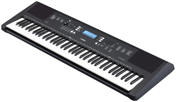 PSR-EW310