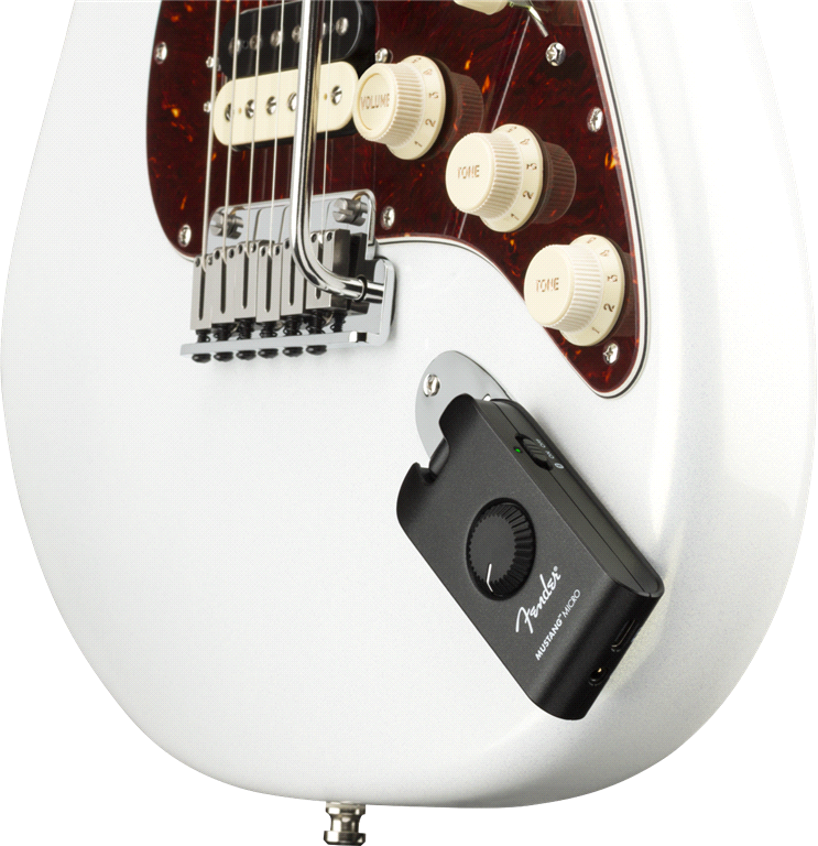 Mustang Micro