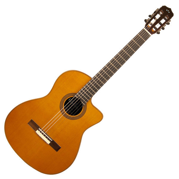 Fusion Orchestra CE Cedar