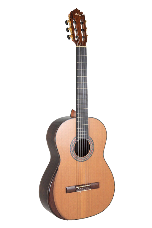 MAGISTRAL SERIE F IND. PALISSANDER ALL SOLID