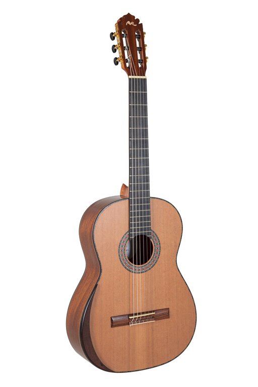 MAGISTRAL SERIE D MAHONIE ALL SOLID