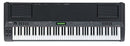 CP300   (B-Stock)