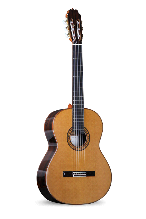 Luthier Ziricote