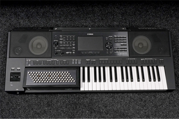 PSR-SX900 + accordeon bassen (Occ.)