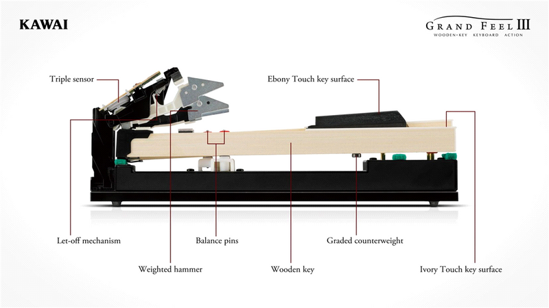 CA701 B DIGITALE PIANO