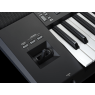 PSR-SX920