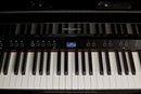 LX5-PE