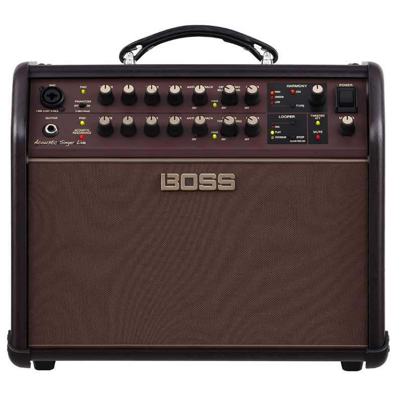 Acoustic Singer Live