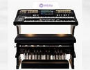 SONIC OAX-700 Parelmoer WHITE / Zwart hoogglans Vol Pedaal