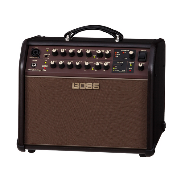 Acoustic Singer Live