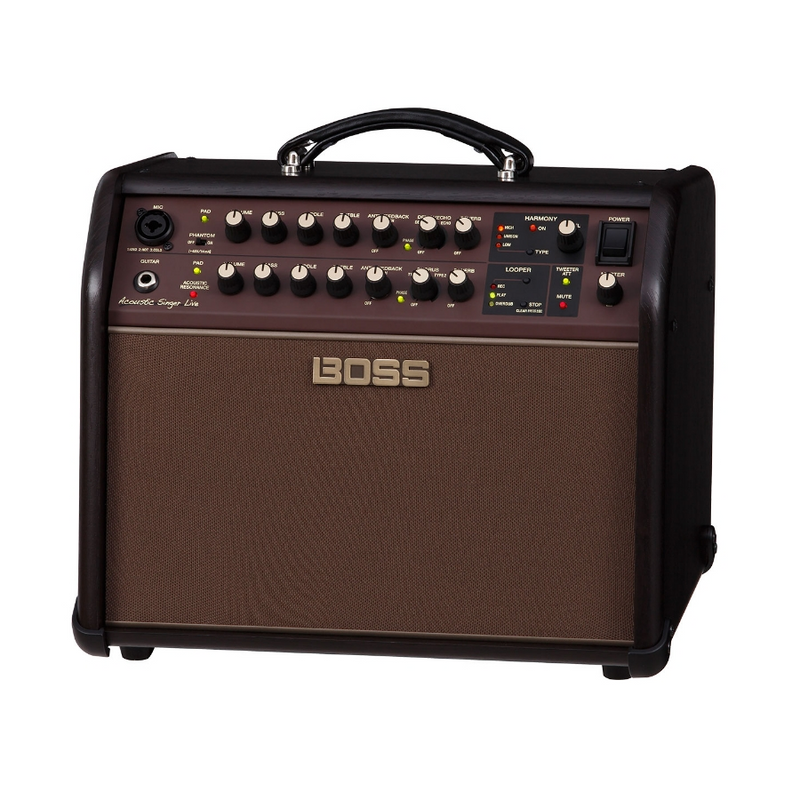 Acoustic Singer Live