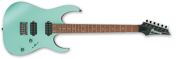 RG421S-SEM