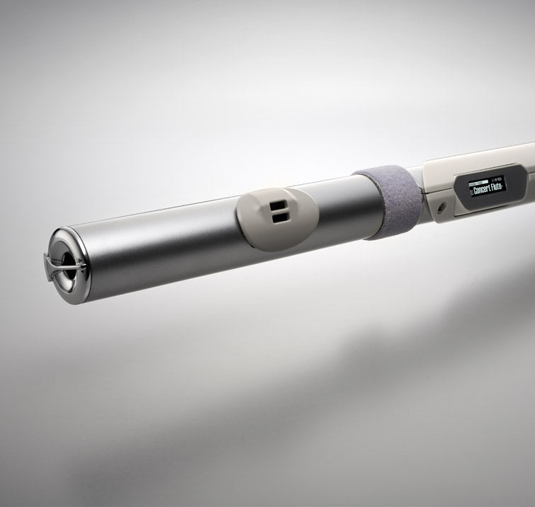 Roland Aerophone Brisa