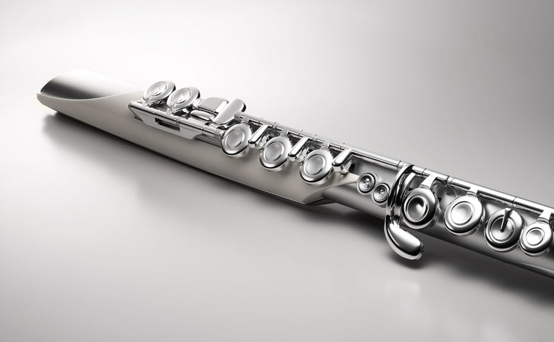 Roland Aerophone Brisa