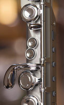 Roland Aerophone Brisa