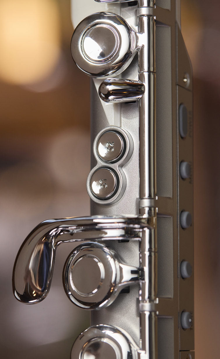 Roland Aerophone Brisa