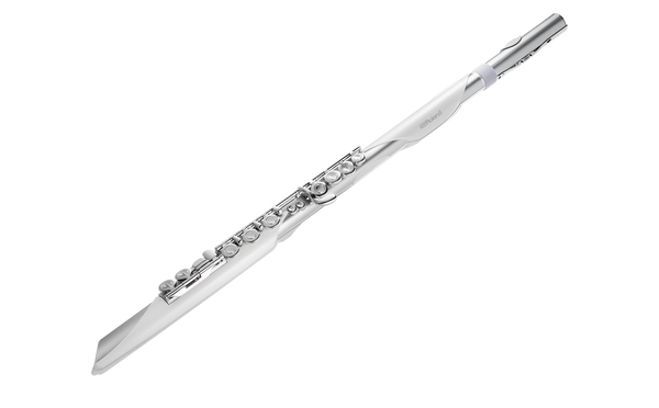 Roland Aerophone Brisa